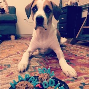 Meet your Posher, Bethany